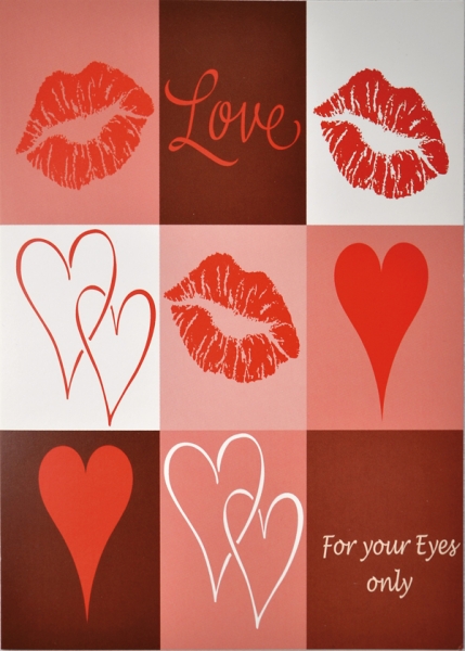 25 Portraitmappen "Akt & Dessous" für Fotos 13x18 cm